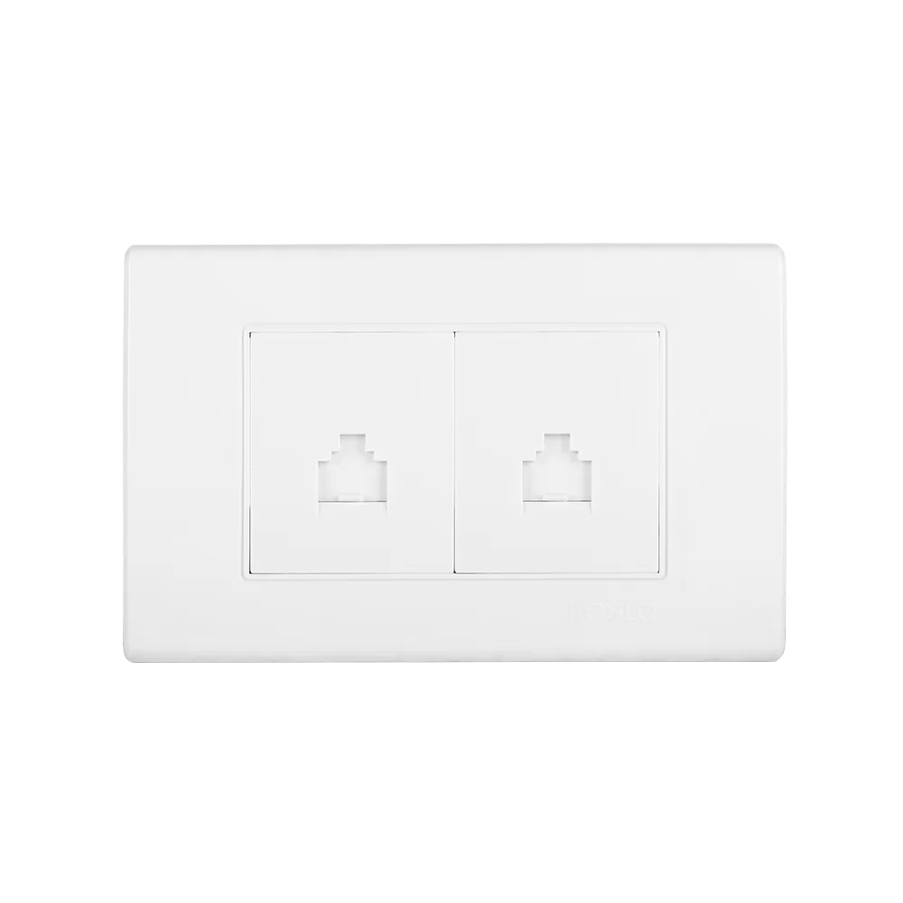 Double Computer Socket