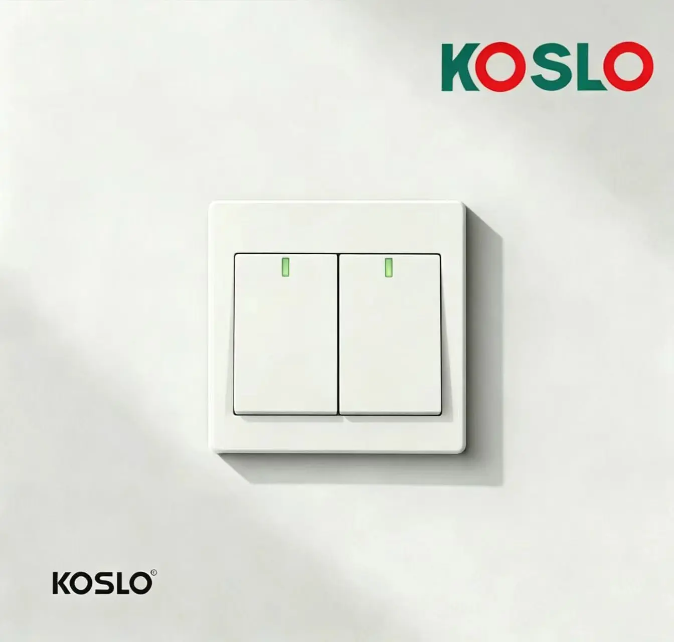 v20 2 gang 1 way switch.